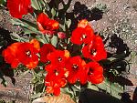     
: 2013-04-22 14.01.23.jpg
: 15
:	220.3 
ID:	9403786