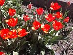     
: 2013-04-22 14.01.38.jpg
: 16
:	244.1 
ID:	9403788