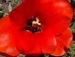     
: 2013-04-22 14.02.30.jpg
: 16
:	94.4 
ID:	9403790