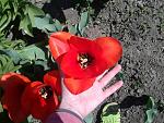     
: 2013-04-23 14.39.19.jpg
: 20
:	194.2 
ID:	9403792