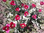     
: 2013-05-08 14.24.58.jpg
: 14
:	297.8 
ID:	9403793