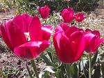     
: 2013-05-08 14.25.13.jpg
: 19
:	220.2 
ID:	9403797