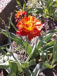    
: 2013-05-08 14.25.48.jpg
: 12
:	139.4 
ID:	9403798
