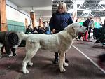    
: IMG_20150214_121444.jpg
: 27
:	166.1 
ID:	9406390