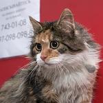    
: DSC_0031.jpg
: 118
:	65.2 
ID:	9408423