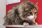     
: DSC_0032.jpg
: 108
:	49.0 
ID:	9408431