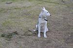     
: bJClDwy_xdQ.jpg
: 17
:	211.1 
ID:	9408562