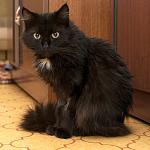     
: DSC_0003_5-1.jpg
: 7
:	108.5 
ID:	9409708