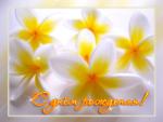     
: 78825517_143.jpg
: 17
:	19.0 
ID:	9411639