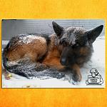     
: DYEE0XrsMag.jpg
: 51
:	62.4 
ID:	9412638