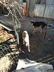     
: SWvUpawuSYU.jpg
: 134
:	203.2 
ID:	9415815