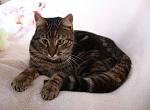     
: IMG_8620.jpg
: 5
:	97.8 
ID:	9415844
