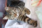     
: IMG_8652.jpg
: 4
:	104.3 
ID:	9415845