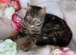     
: IMG_8609.jpg
: 6
:	119.7 
ID:	9415847