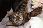     
: IMG_8654.jpg
: 5
:	111.6 
ID:	9415850