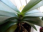     
: DSCN1189.jpg
: 28
:	100.9 
ID:	9416371