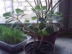     
: 21032010336.jpg
: 21
:	177.3 
ID:	941896