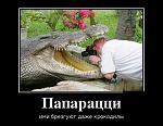     
: getI888m8age.jpeg
: 22
:	65.9 
ID:	9419776