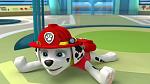     
: maxresdefault.jpg
: 176
:	70.6 
ID:	9421690