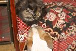     
: IMG_4728.jpg
: 20
:	110.3 
ID:	9422178