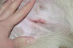     
: IMG_4719.jpg
: 19
:	71.4 
ID:	9422179