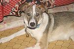     
: IMG_4727.jpg
: 21
:	154.2 
ID:	9422180
