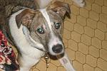     
: IMG_4725.jpg
: 22
:	120.1 
ID:	9422181
