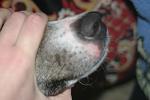     
: IMG_4720.jpg
: 22
:	58.7 
ID:	9422182