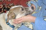     
: IMG_4723.jpg
: 19
:	157.4 
ID:	9422183