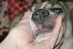     
: IMG_4721.jpg
: 20
:	78.8 
ID:	9422185