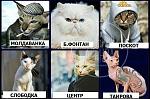     
: image.jpg
: 38
:	57.6 
ID:	9423164