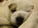     
: DSCN4747.jpg
: 6
:	84.3 
ID:	9423326