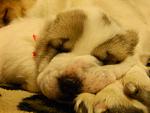    
: DSCN4752.jpg
: 3
:	89.8 
ID:	9423328