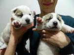     
: DSCN4636.jpg
: 14
:	100.9 
ID:	9423353