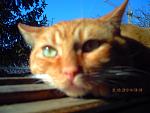     
: PICT0015.jpg
: 16
:	101.4 
ID:	942365