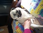     
: uploadfromtaptalk1424246289474.jpg
: 35
:	134.0 
ID:	9423896