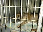     
: 20150218_092317[1].jpg
: 24
:	151.9 
ID:	9424793