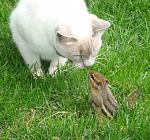     
: 5062b840c9ef.jpg
: 22
:	95.5 
ID:	942580