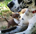     
: 8f21fbeed1b1.jpg
: 22
:	85.7 
ID:	942595