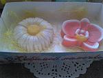     
: 2015-02-09 16.38.43.jpg
: 4
:	121.9 
ID:	9426412