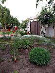     
: 20140523_080315.jpg
: 54
:	172.1 
ID:	9427005