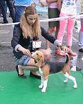     
: DSC_01731.jpg
: 8
:	118.4 
ID:	9428222