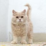     
: DSC_0160.jpg
: 47
:	65.8 
ID:	9428681