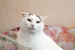     
: DSC_0118.jpg
: 52
:	57.8 
ID:	9428715