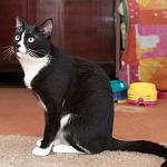     
: DSC_0050.jpg
: 45
:	99.1 
ID:	9428726