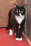     
: DSC_0035.jpg
: 47
:	87.6 
ID:	9428727