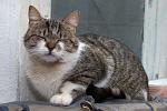    
: DSC_0147.jpg
: 41
:	146.0 
ID:	9428740