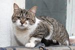     
: DSC_0148.jpg
: 47
:	152.9 
ID:	9428741