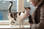     
: DSC_0068.jpg
: 38
:	91.2 
ID:	9428743