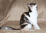     
: DSC_3969.jpg
: 38
:	115.0 
ID:	9428744